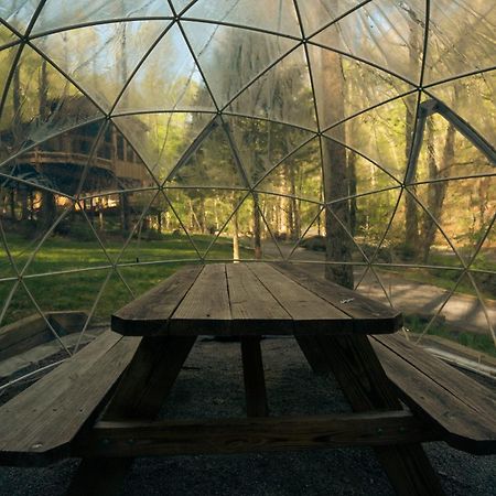 The Dogwood In Treehouse Grove At Norton Creek Villa Gatlinburg Exterior photo